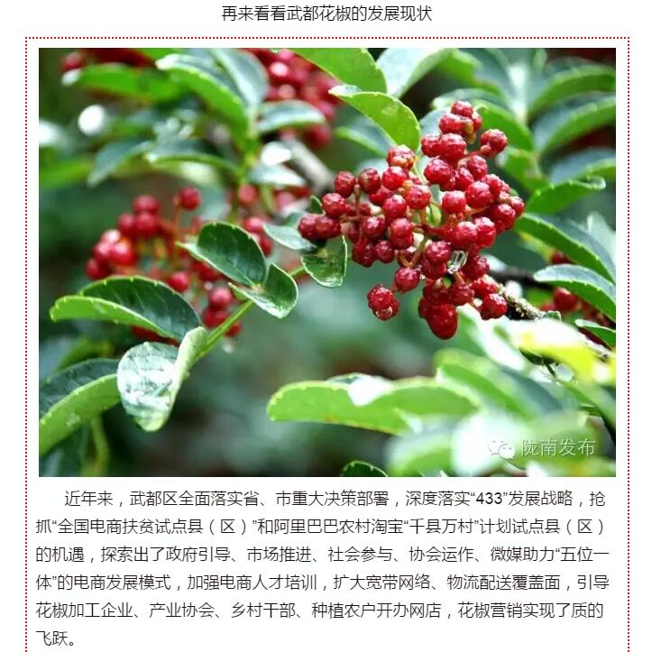 5.28億！一場盛會，武都花椒“火”了