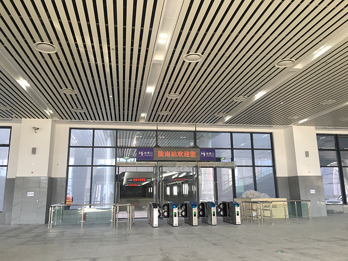 全國(guó)、省市政協(xié)委員體驗(yàn)蘭渝鐵路、視察階州廣場(chǎng)