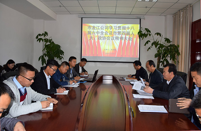 市龍江公司召開全體員工大會，專題傳達學習上級會議精神