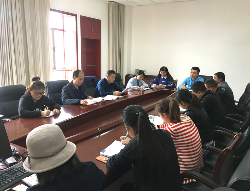 市龍江城鄉(xiāng)發(fā)展集團(tuán)專題學(xué)習(xí)近期中央、省、市紀(jì)律檢查委員會(huì)議精神